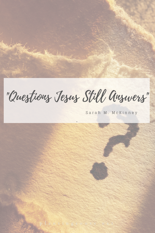 Questions Jesus Still Answers