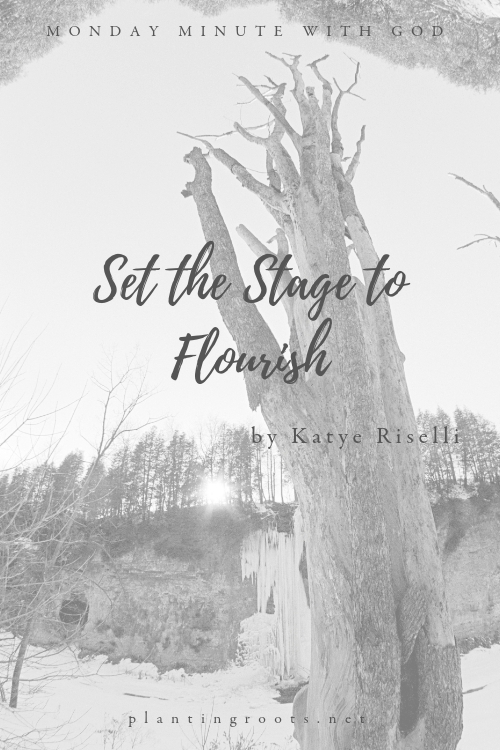 Set the Stage to Flourish
