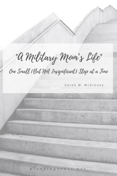 A Military Mom's Life...One Small (but not insignificant) Step at a Time