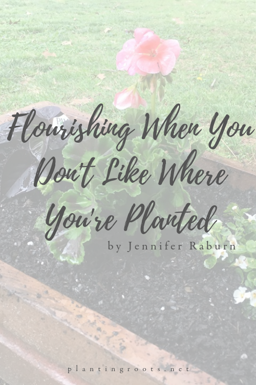 Flourishing When You Don't Like Where You're Planted