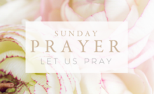 Sunday prayer rose graphic