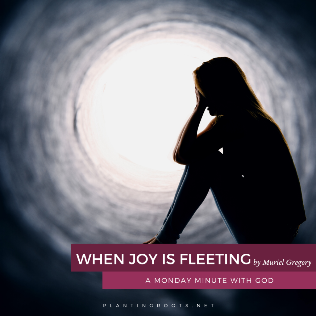 When Joy is Fleeting